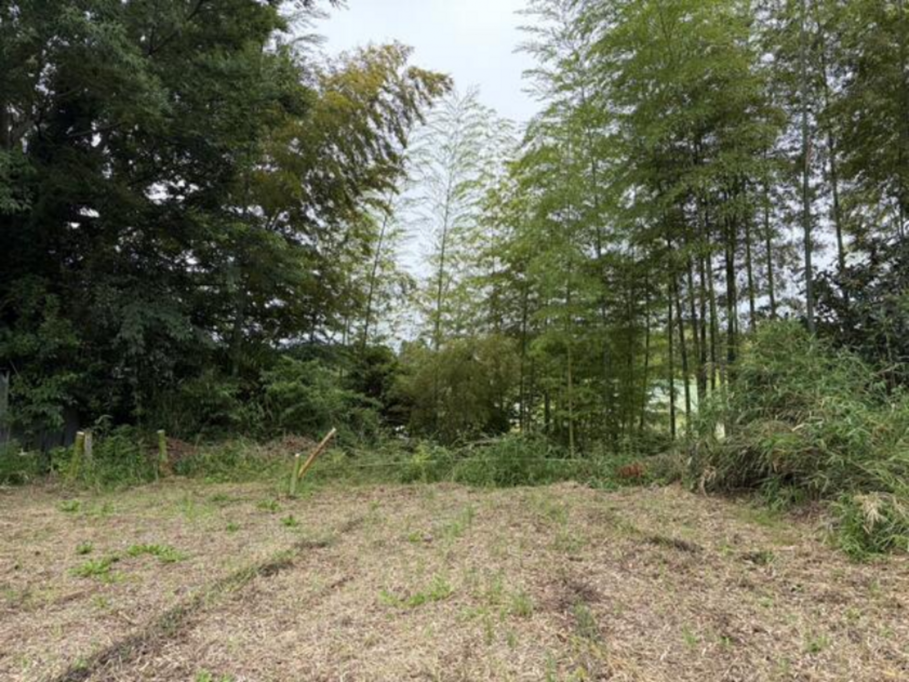 真岡市久下田、土地の画像です