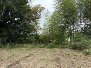 真岡市久下田、土地の画像です