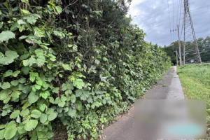 真岡市寺内、土地の画像です