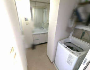真岡市大谷台町、マンションの洗面画像です