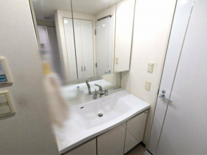 真岡市大谷台町、マンションの洗面画像です