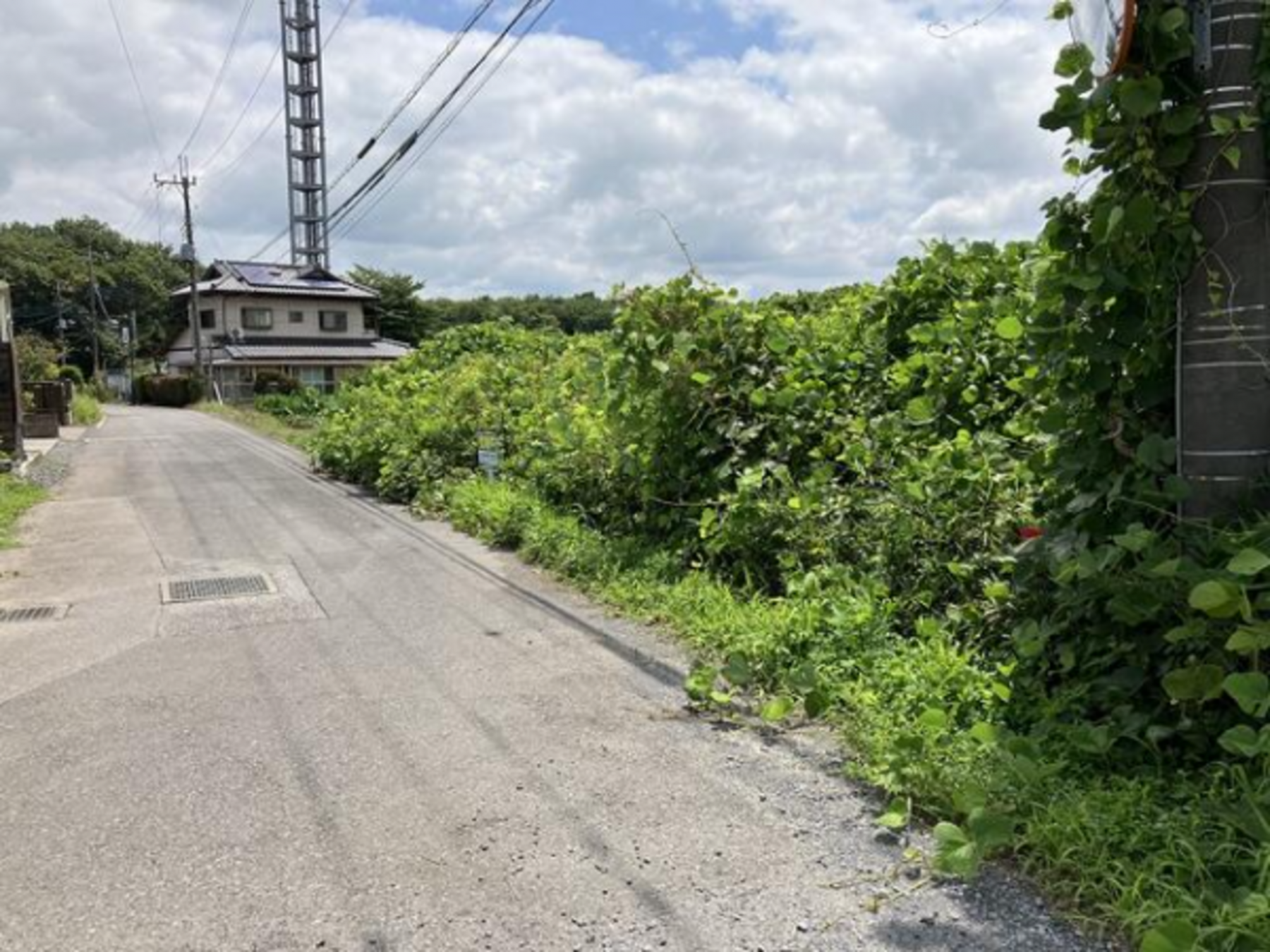 芳賀郡芳賀町大字西水沼、土地の画像です