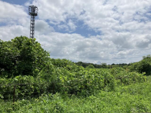 芳賀郡芳賀町大字西水沼、土地の画像です