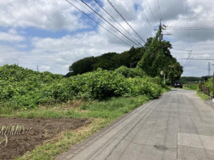 芳賀郡芳賀町大字西水沼、土地の画像です