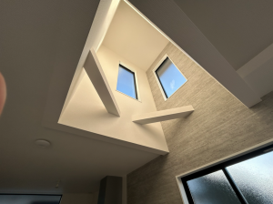 仙台市若林区上飯田、新築一戸建ての画像です