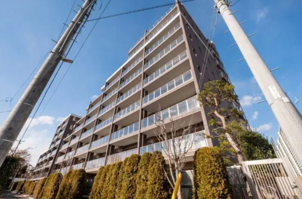 仙台市若林区土樋、マンションの画像です
