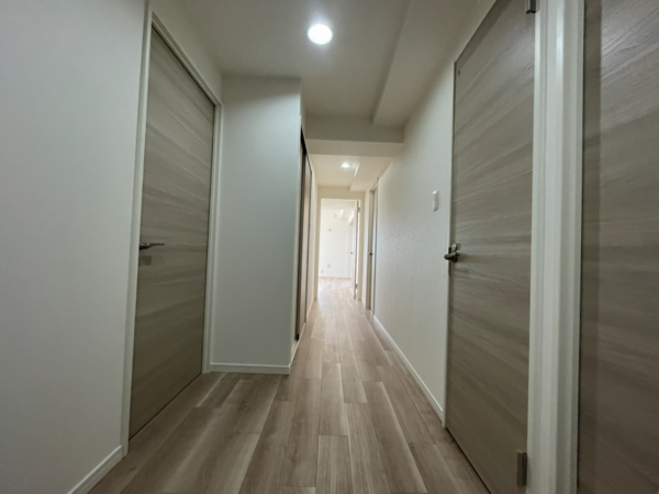 仙台市若林区中倉、マンションの画像です