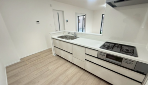 仙台市若林区若林、新築一戸建ての画像です