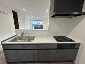 仙台市若林区志波町、新築一戸建ての画像です