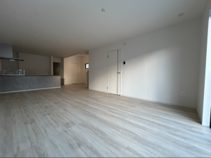 仙台市若林区上飯田、新築一戸建ての画像です