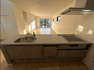 仙台市若林区上飯田、新築一戸建ての画像です