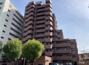 仙台市若林区土樋、マンションの画像です