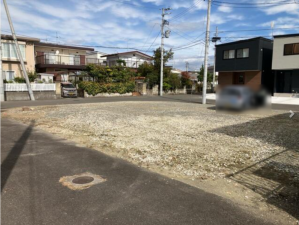 仙台市若林区霞目、新築一戸建ての画像です