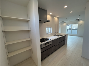 仙台市若林区二軒茶屋、新築一戸建ての画像です