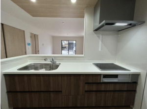 仙台市若林区若林、新築一戸建ての画像です