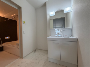 仙台市若林区白萩町、新築一戸建ての画像です