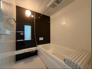 仙台市若林区白萩町、新築一戸建ての画像です