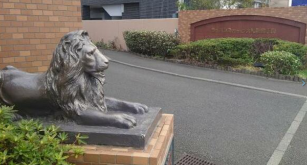 仙台市若林区大和町、マンションの画像です