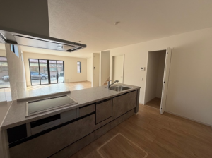 仙台市若林区霞目、新築一戸建ての画像です