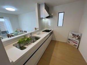 和泉市池上町、新築一戸建ての画像です