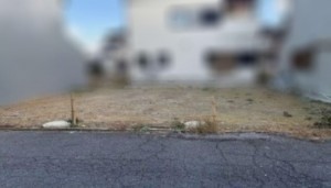 和泉市富秋町、土地の画像です