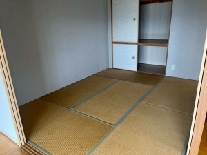 和泉市室堂町、マンションの画像です