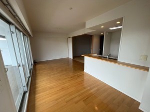 和泉市室堂町、マンションの画像です