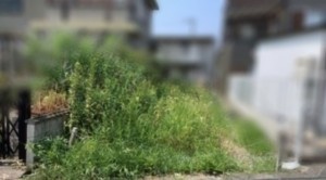 和泉市伯太町、土地の画像です