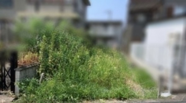 和泉市伯太町、土地の画像です