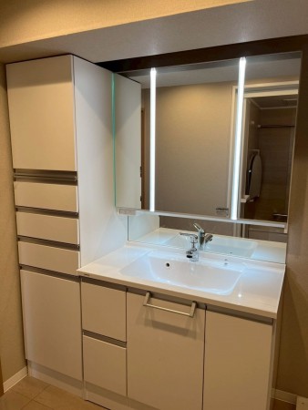 和泉市和気町、マンションの洗面画像です