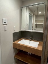 和泉市和気町、マンションの洗面画像です