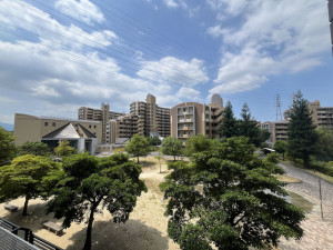 和泉市室堂町、マンションの画像です
