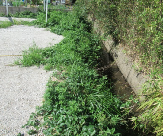 出雲市大社町修理免、土地の画像です