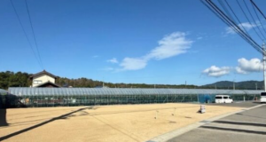 出雲市浜町、土地の画像です