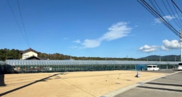 出雲市浜町、土地の画像です