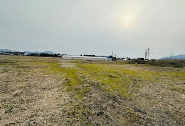 出雲市斐川町坂田、土地の画像です