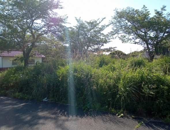 出雲市多伎町小田、土地の画像です