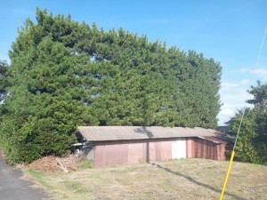 出雲市斐川町沖洲、中古一戸建ての周辺画像画像です