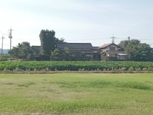 出雲市斐川町沖洲、中古一戸建ての周辺画像画像です