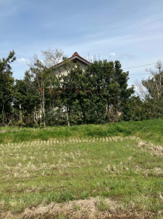 出雲市灘分町、土地の画像です