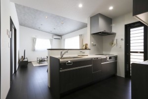 出雲市渡橋町、新築一戸建ての画像です