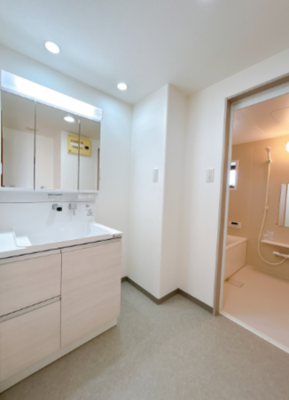 出雲市渡橋町、マンションの洗面画像です