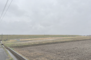 出雲市東林木町、土地の画像です