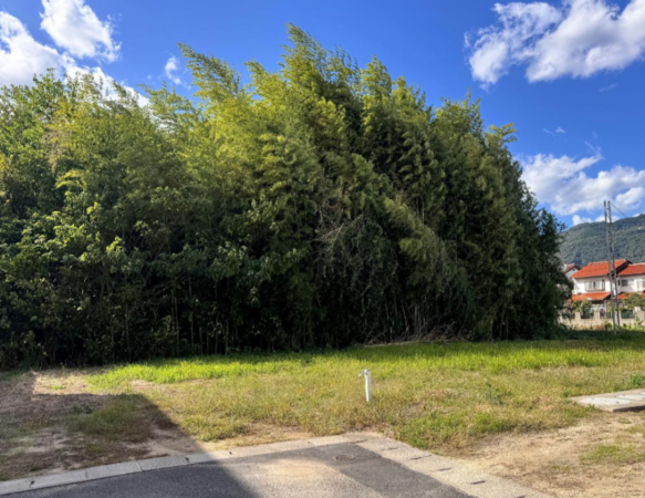 出雲市稲岡町、土地の画像です