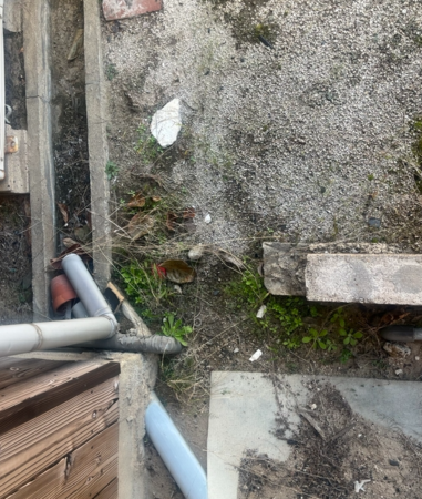 出雲市大社町北荒木、土地の画像です