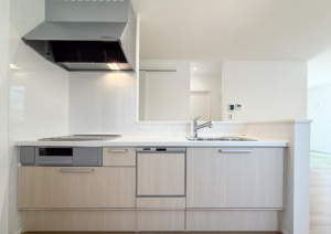 出雲市小山町、新築一戸建ての画像です