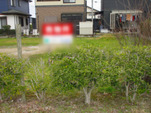出雲市斐川町直江、土地の画像です