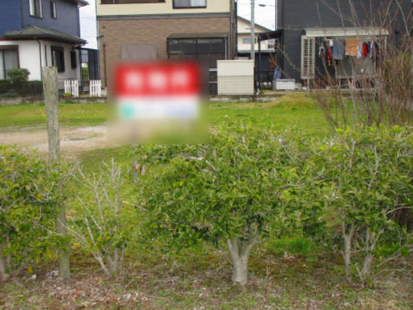 出雲市斐川町直江、土地の画像です