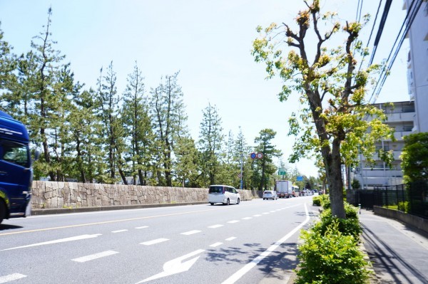 草加市栄町、マンションの前面道路を含む現地写真画像です