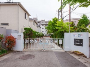 草加市金明町、新築一戸建ての中学校画像です